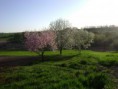 /album/fenykepgaleria/a2013-aprilis-23-031-jpg/